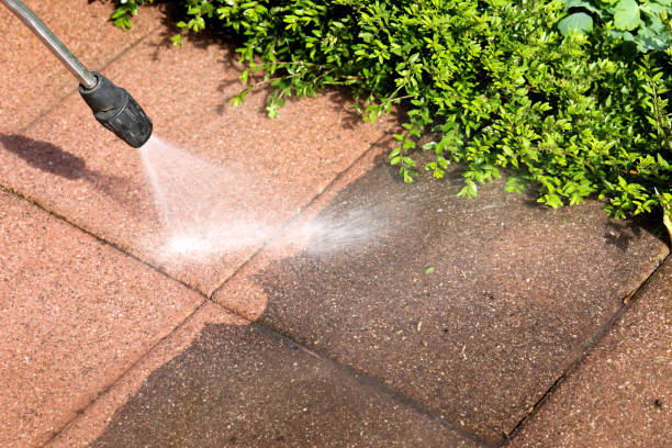 Local Pressure Washing Services in West Bradenton, FL